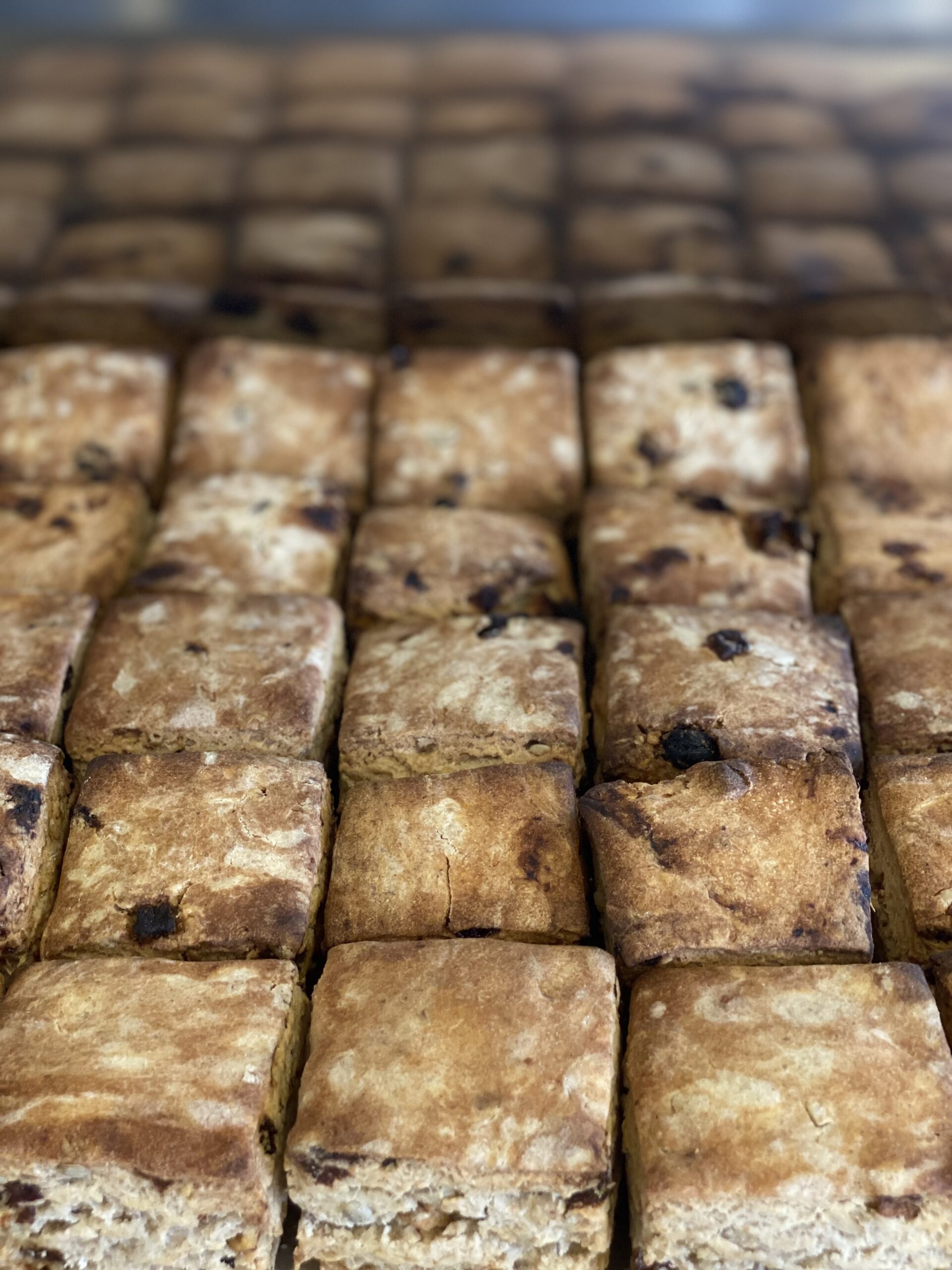 薪火酵母スコーン(有機ドライフルーツ&有機ナッツ)3個セット - 画像 (2)