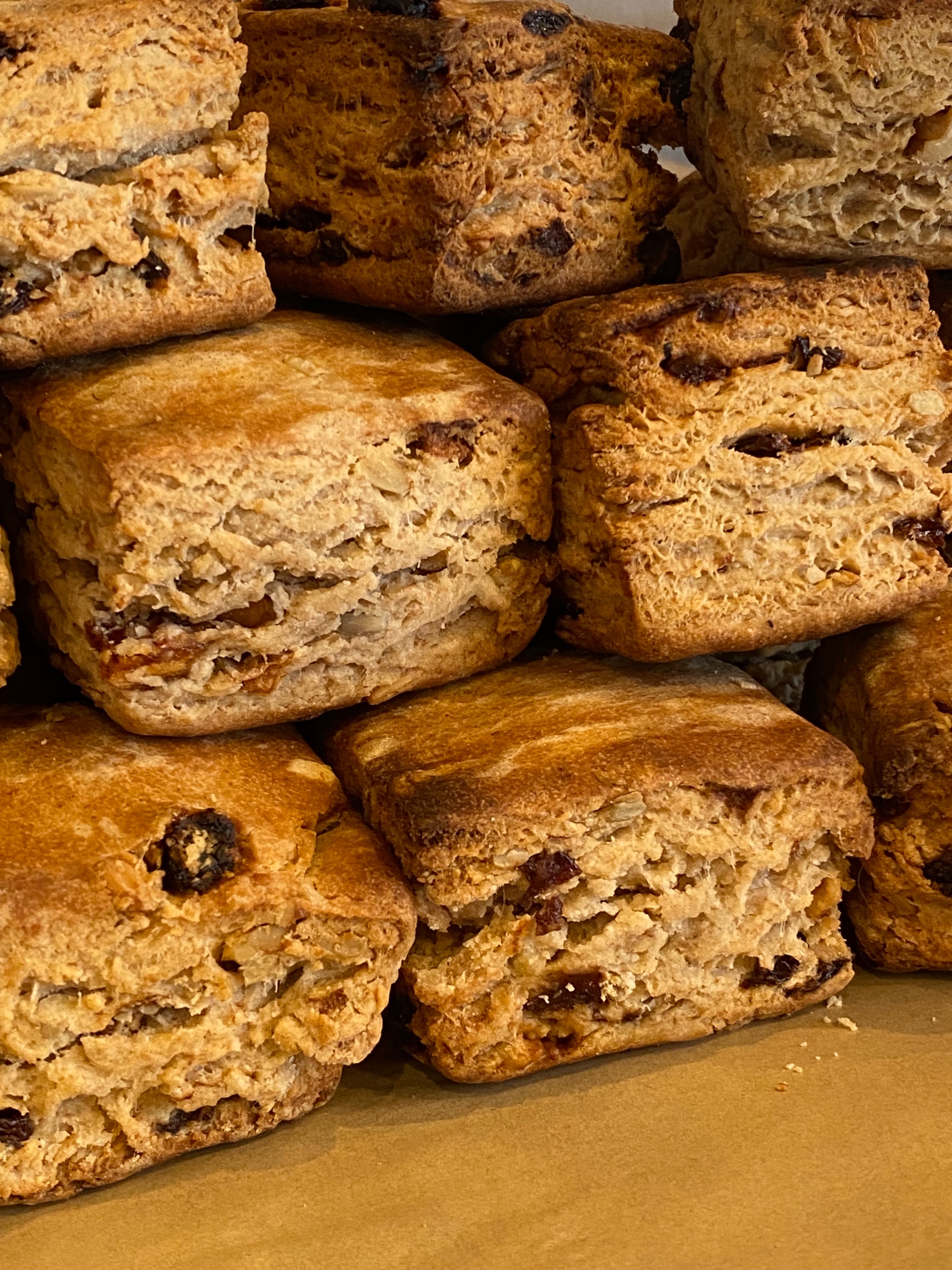 薪火酵母スコーン(有機ドライフルーツ&有機ナッツ)3個セット